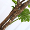 завод Monstera листвы зеленого цвета дерева высоты 175cm искусственный тропический для домашнего оформления