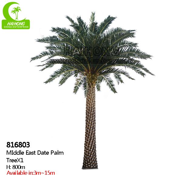 Дерево финиковой пальмы Ближнего Востока