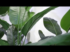 Видео с вращающейся секцией