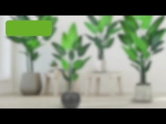 Ложная пальма путешественника (стрелиция) - 180 см/200 см Реалистичный искусственный лист из полиэтилена