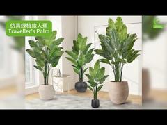 Искусственная пальма путешественника с реалистичными краями листьев 160 см 180 см | Реалистичная искусственная райская птица