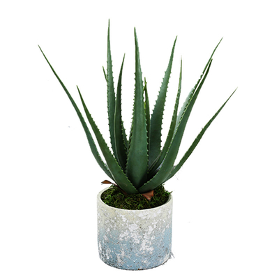 Indoor Small Bonsai Artificial Potted Plant Plants Office Home Decoration