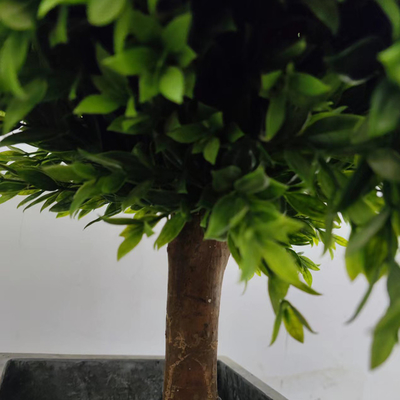 Fire Retardant Artificial Landscape Trees For Gardens Anti UV 65cm Boxwood Green Bonsai