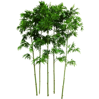 Real Stem Artificial Bamboo Outdoor UV Resistant Indoor Fire Retardant