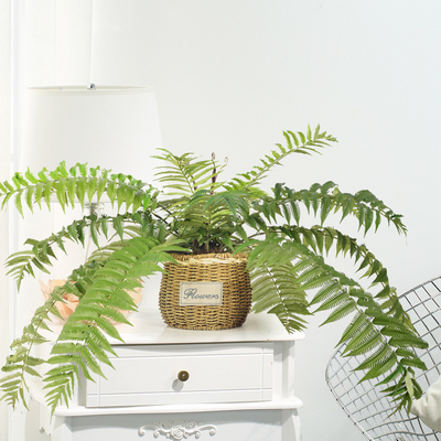 Fire Retardent Ivy Artificial Potted Floor Plants For Vertical Green Wall Diy Plant Rattan