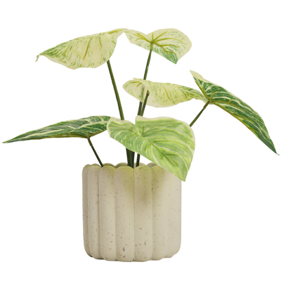 Ornamental Eucalyptus Grass Foliage In Purple Philodendron Birkin Decoration