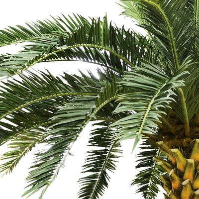 Big Tropical Artificial Date Palm Tree No Nursing Highly Simulated Plants Outdoor Decor
