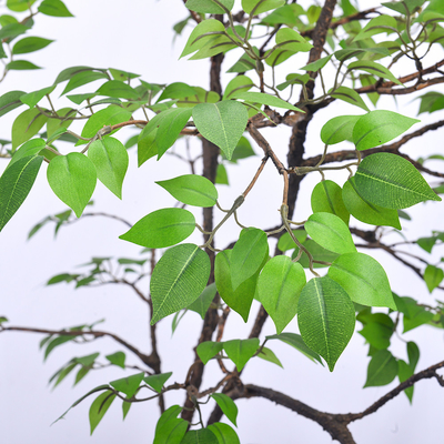 Frabric Leaves Artificial Banyan Tree Complex Branch Interior Decoration