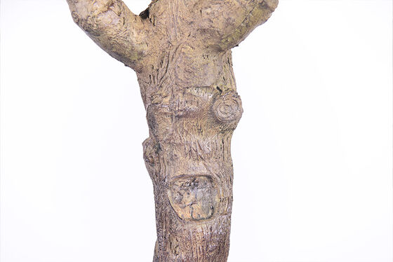 Premium Lifelike Olive Tree Artificial Plant - Focal Point Sizes 6.6FT/8.2FT/9.2FT, Real Touch Foliage for Luxury Villa & Restaurant Interior Design