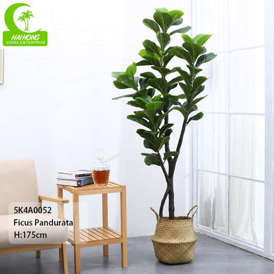 Flame Retardant Height 155cm Aesthetic Artificial Ficus Lyrata With Pot