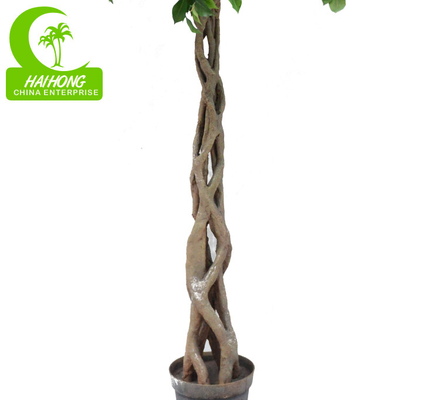 Fire Retardant Aesthetic Faux Ficus Plant , 8ft Artificial Palm Tree In Green