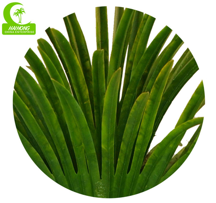 High Imitation 165cm Big Fan Artificial Tropical Tree Luxury