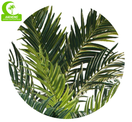 Large Size 230cm Artificial Coconut Tree For Theme Park Decoration