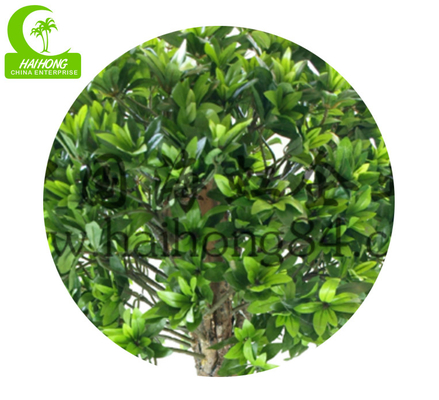 Anti Fading Aesthetic 110cm Artificial Podocarpus Tree With Pot