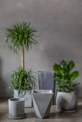 Classic Polygon Planter