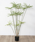 Height 155cm Artificial Potted Floor Plants Cyperus Eco Friendly