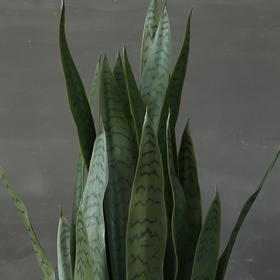Artificial Potted Bonsai Agave Plant Landing Ornaments Indoor Decoration