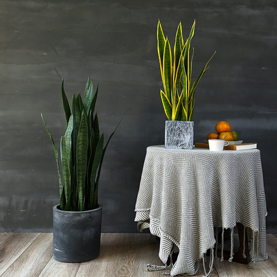 Artificial Potted Bonsai Agave Plant Landing Ornaments Indoor Decoration