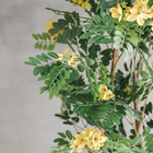 Yellow Cassia Flowering Artificial Foliage Tree Hotel Decoration