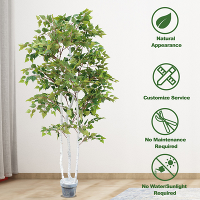 Ornamental Plant Artificial Radermachera Sinica Natural Greening For Home Decoration