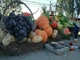 Милая скульптура фигурной стрижки кустов фруктов и овощей, скульптура открытого сада красочная