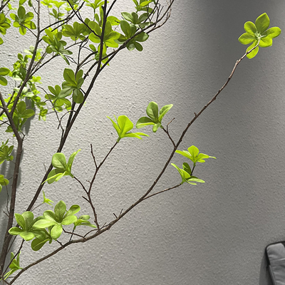 Potted Artificial Landscape Trees Philodendron 120cm 160cm For Indoor Decoration