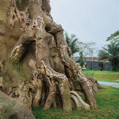 30m Tall Magic Treehouse for theme park –  Artificial House Trees of life Designs for decoartion