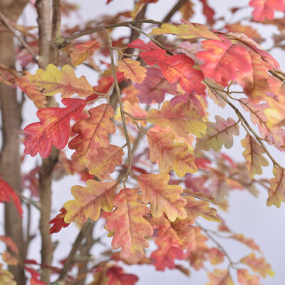 Artificial Multi-Stem Oak Tree 250cm | Large Faux Tree for Hotel Lobby & Commercial Landscape Decor