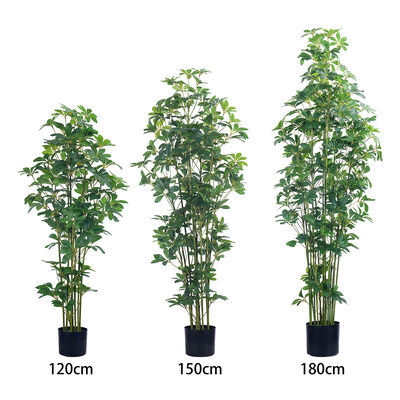 Artificial Multi-Stem Schefflera Plant 120cm 150cm 180cm | Faux Arboricola for Indoor Office & Home Decor