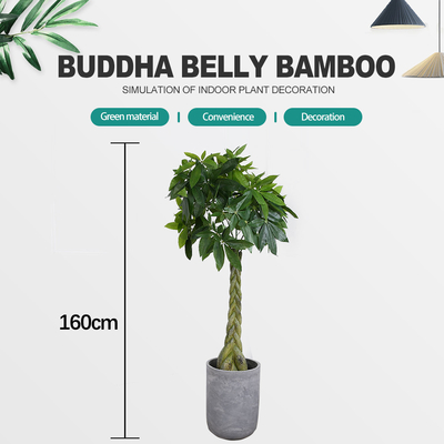 SGS UV Resistance Artificial Money Tree For Home Decoration Green Color Indoor Plants